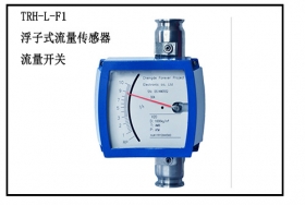 浮球式流量傳感器，經(jīng)濟型流量計算儀器