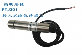 PTJ301投入式液位傳感器/變送器(帶現(xiàn)場顯示投入式液位傳感器/變送器)