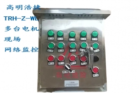 TRH-WL-38/22-無線網(wǎng)絡(luò)控制柜，無線網(wǎng)絡(luò)水泵控制柜，無線網(wǎng)絡(luò)閥門控制柜
